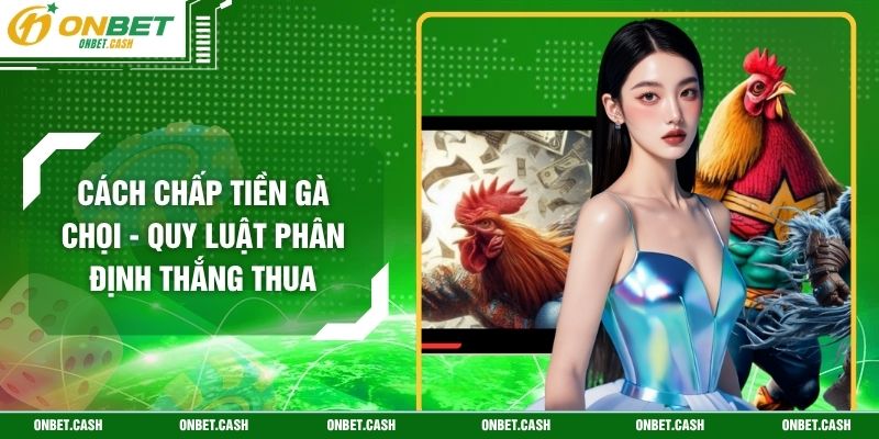 Cách Chấp Tiền Gà Chọi - Quy Luật Phân Định Thắng Thua 4 Cách Chấp Tiền Gà Chọi - Quy Luật Phân Định Thắng Thua