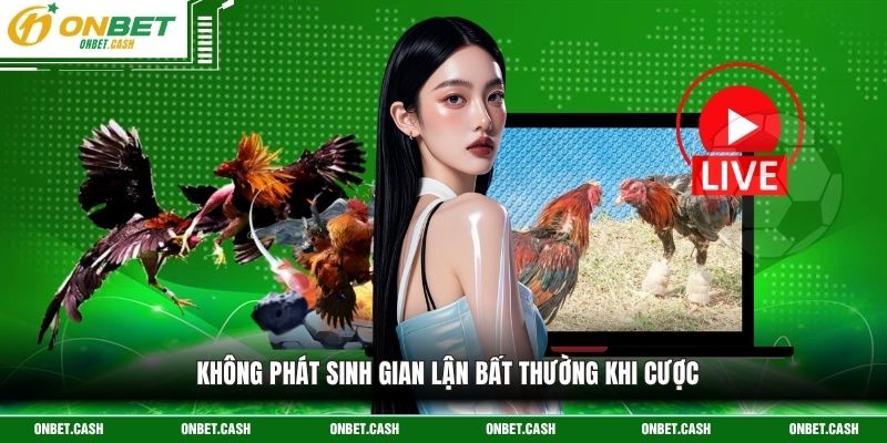 Đá Gà Cựa Dao - Trận Chiến Sinh Tử Kịch Tính Trên Đấu Trường 4 Không phát sinh gian lận bất thường khi cược