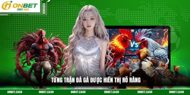 Đá Gà Trực Tiếp C1 C2 - Đấu Trường Của Những Siêu Linh Kê 3 Từng trận đá gà được hiển thị rõ ràng