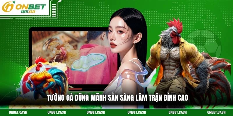 Chọn Tướng Gà Đá - Nghệ Thuật Nhận Diện Linh Kê Qua Hình Thể 4 Tướng gà dũng mãnh sẵn sàng lâm trận đỉnh cao