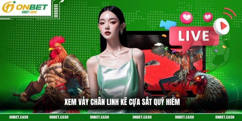 Chọn Tướng Gà Đá - Nghệ Thuật Nhận Diện Linh Kê Qua Hình Thể 3 Xem vảy chân linh kê cựa sắt quý hiếm